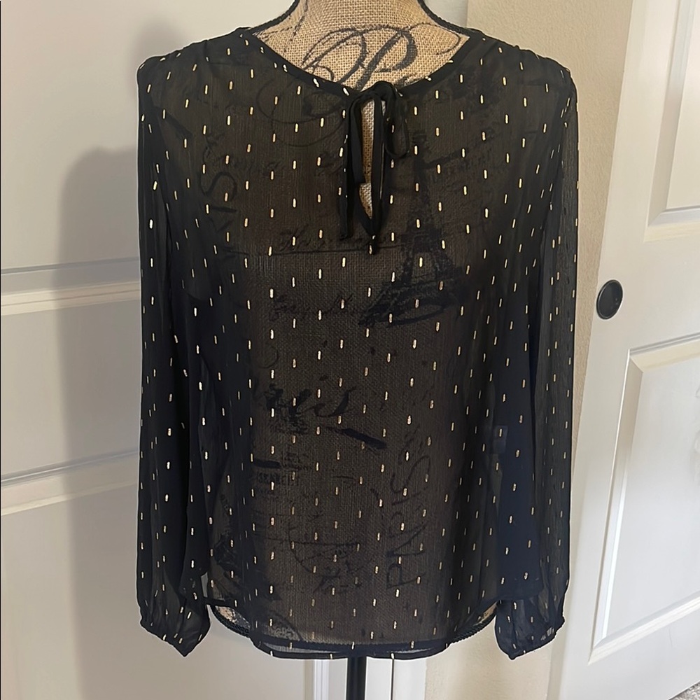 Banana Republic Black Tie Front Long Sleeve Sheer Blouse. LP